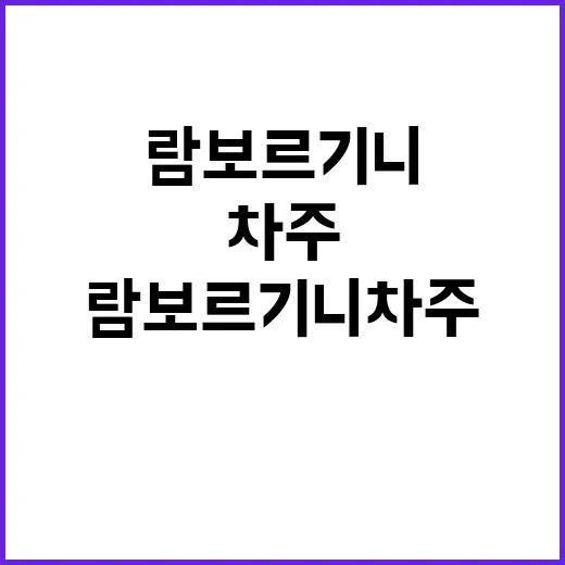 람보르기니 차주 “…