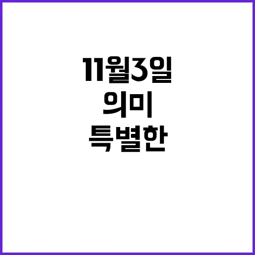 11월 3일 특별한…