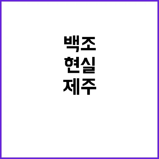 죽음의 백조 제주에…