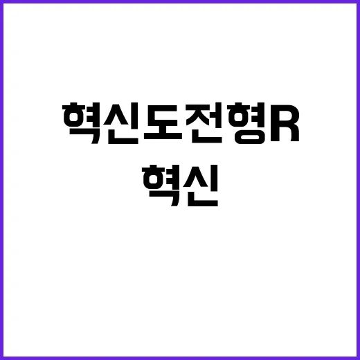 혁신도전형 R&D …