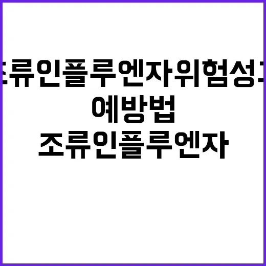 조류인플루엔자 위험…