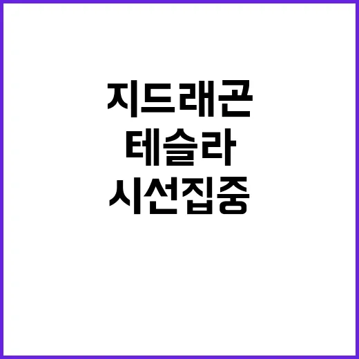 테슬라 지드래곤의 …