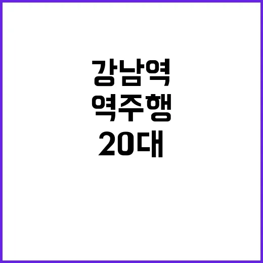 강남 역주행 20대…