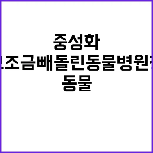 수천만원 중성화 보…