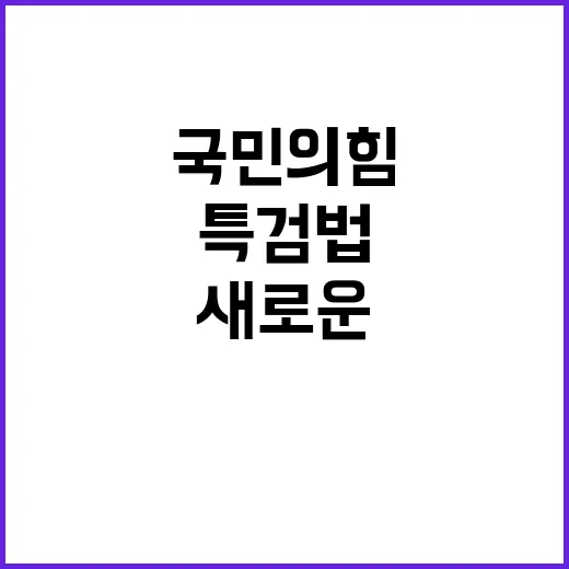 특검법 국민의힘의 …