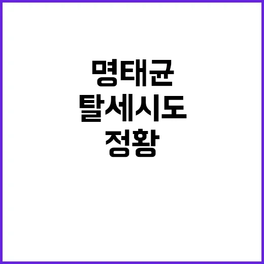 명태균 탈세 시도 …