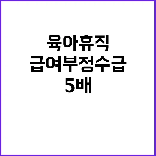 육아휴직급여 부정수…