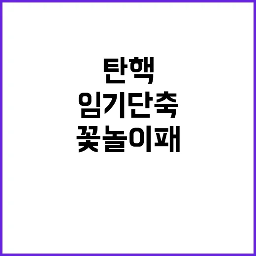 탄핵 하야 임기단축…