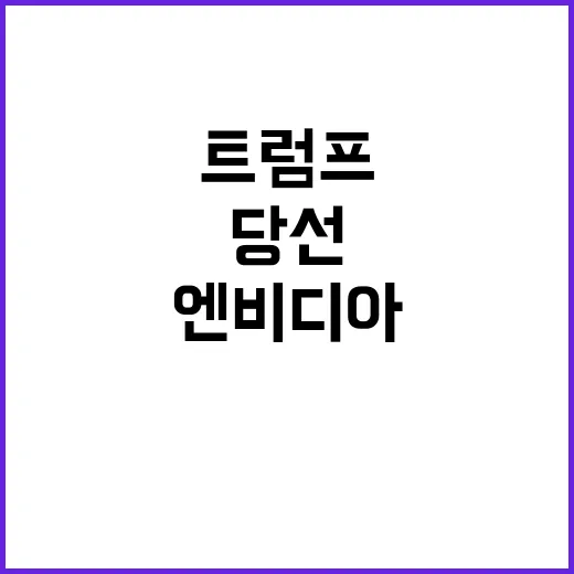 트럼프 당선 엔비디…