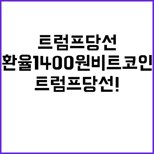 트럼프 당선! 환율 1400원 비트코인 급등!