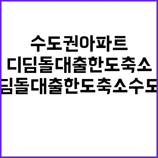 디딤돌대출 한도 축소 수도권 아파트 구매 충격!