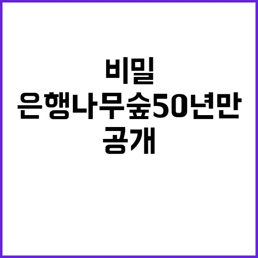 은행나무숲 50년 …