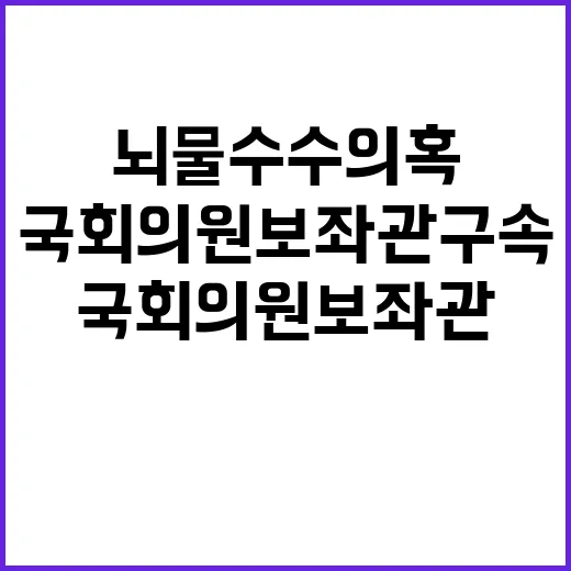 뇌물수수 의혹 국회…