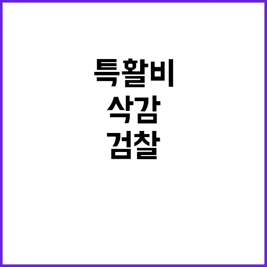 검찰 특활비 삭감 …