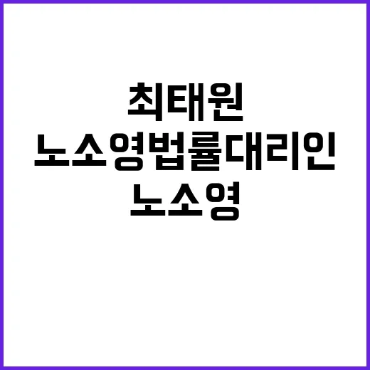 최태원 증여 노소영…