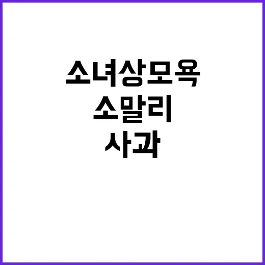 소녀상 모욕 소말리 사과 요청 배경은 무엇?