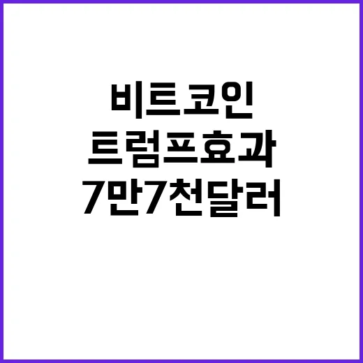 금성호 실종자…밤새…