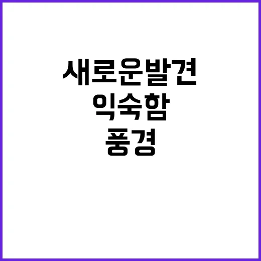 눈부신 풍경 익숙함…