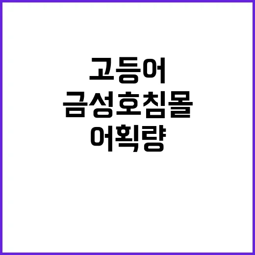 금성호 침몰 고등어…