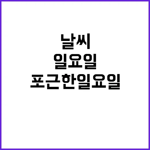 날씨 포근한 일요일…