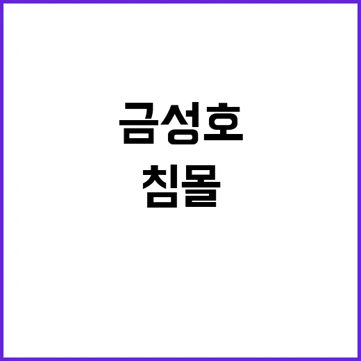 금성호 침몰 고등어…