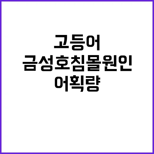 금성호 침몰 원인 …