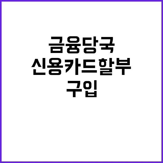 신용카드 할부 구입…