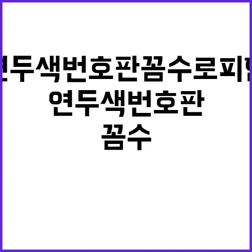 연두색 번호판 꼼수…