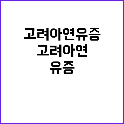 고려아연 유증 결정…