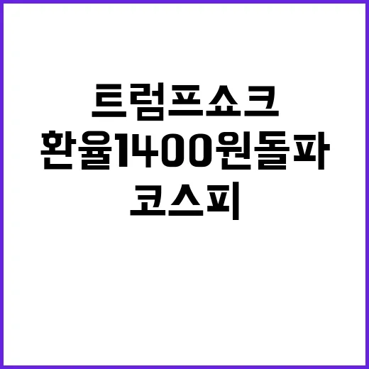 트럼프 쇼크 환율 …