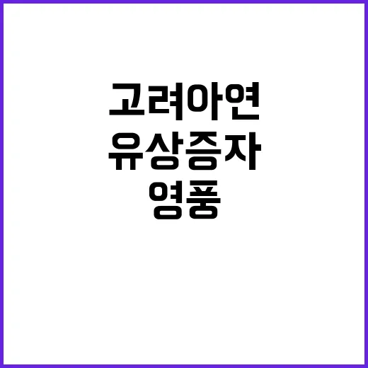 고려아연 유상증자 …