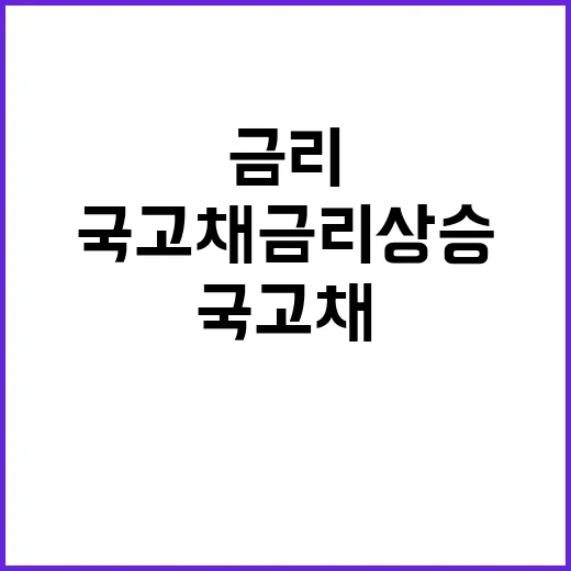 국고채 금리 상승……