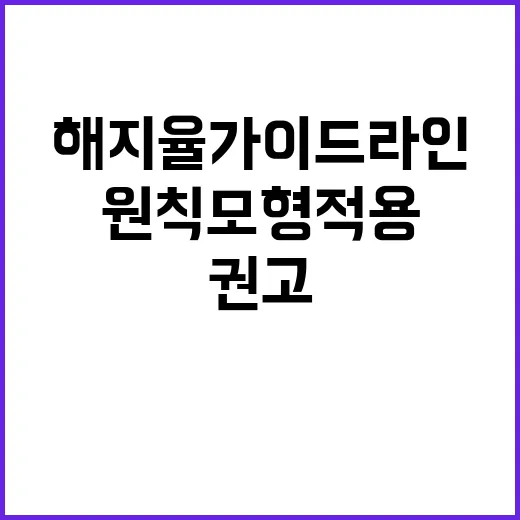 금융위 해지율 가이…