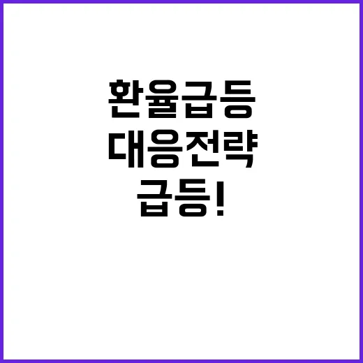 환율 급등! 정부의…