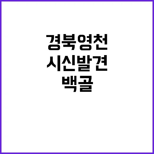 백골 시신 발견… 경북 영천의 충격적인 진실!