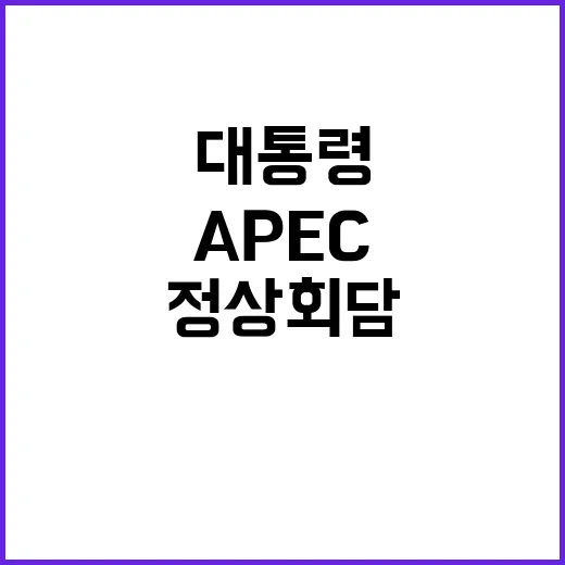 APEC 정상회담 …