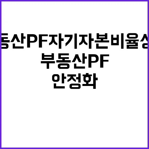 부동산 PF 자기자…