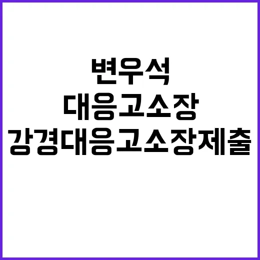 변우석 악성 댓글 …