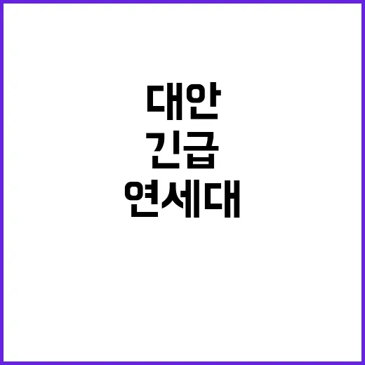 교육부 “연세대 대…