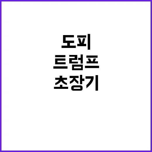 트럼프 도피 미국 …