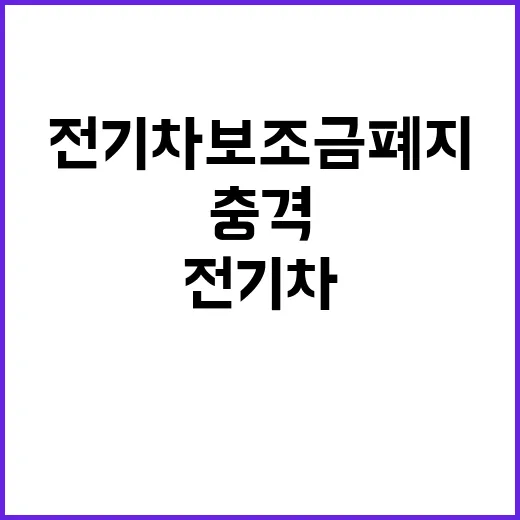 전기차 보조금 폐지…