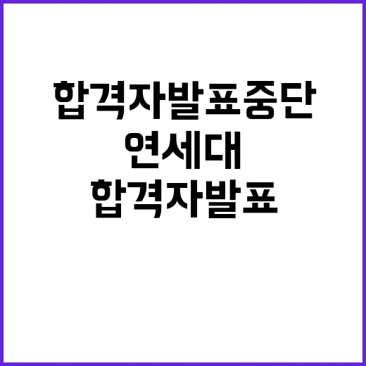 법원 연세대 합격자 발표 중단 결정!