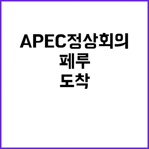 APEC 정상회의 …