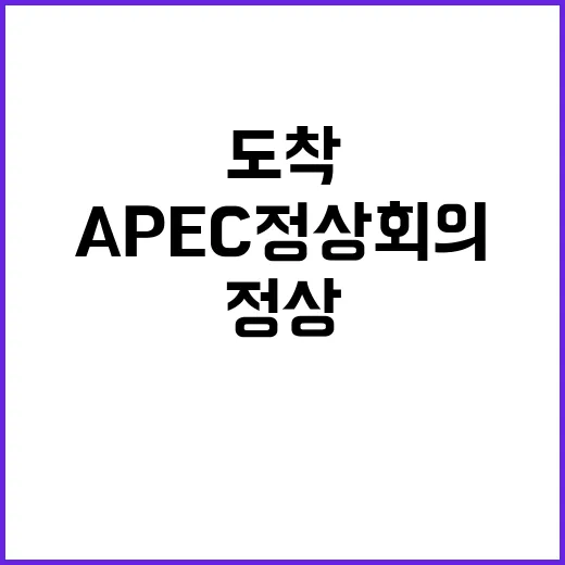 APEC 정상회의 …