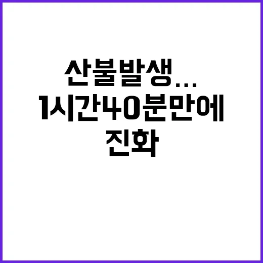 산불 발생…남양주 …