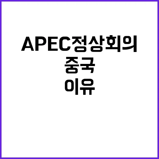 APEC 정상회의 …