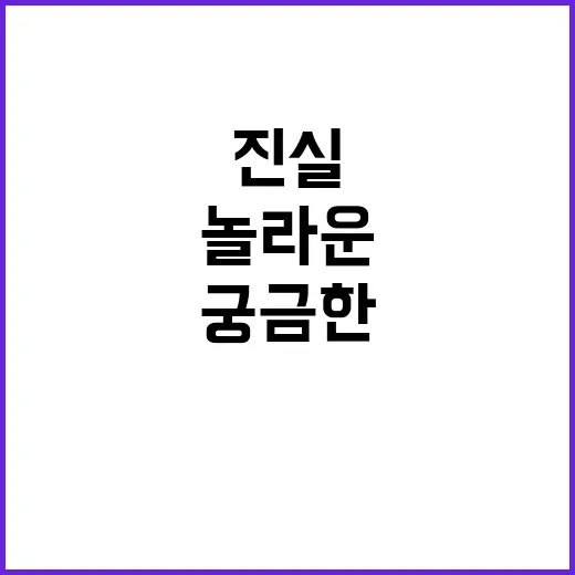 헤드라인 놀라운 사실 모두가 궁금한 진실 공개!