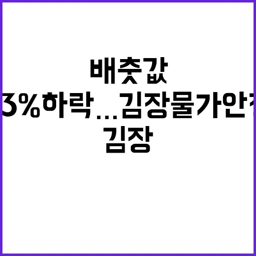 배춧값 63% 하락…