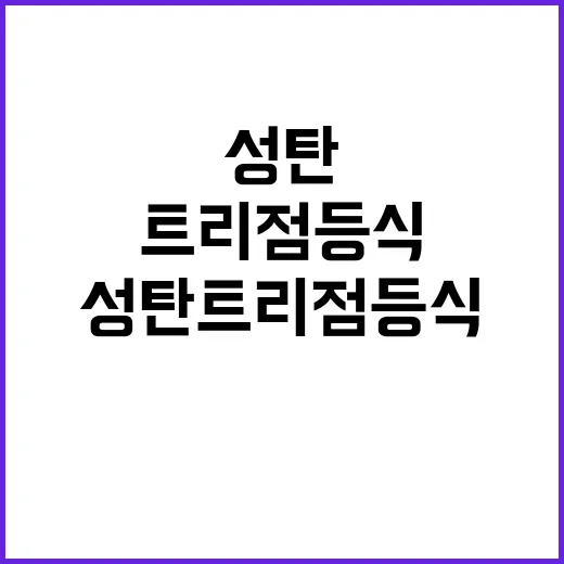 성탄트리 점등식 그…