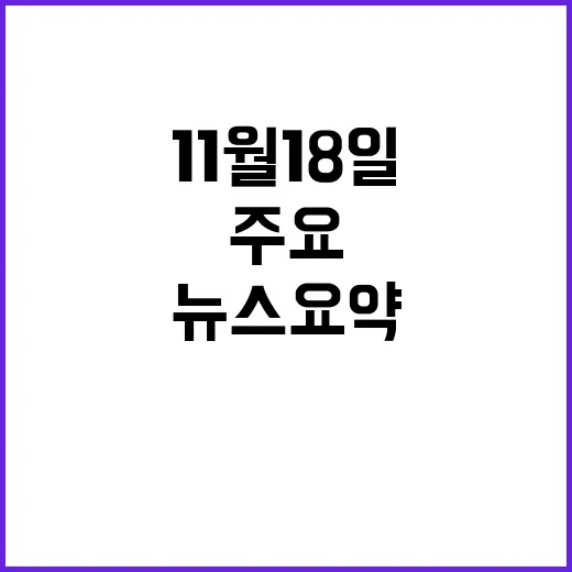 라이브투데이 11월…